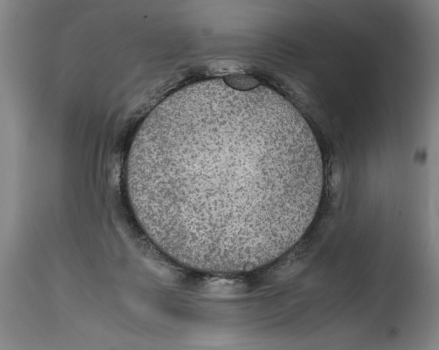 X0000114620315200911171103