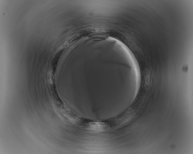 X0000114620316200911171103