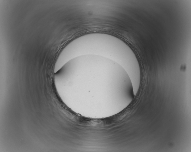 X0000114620317200911171103