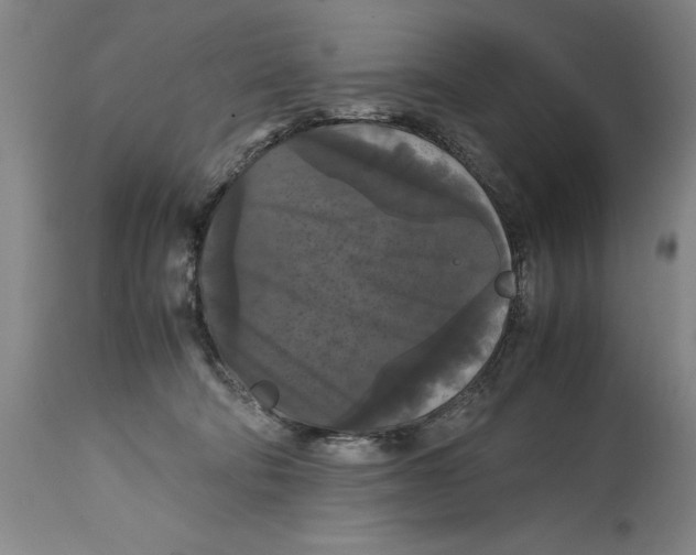 X0000114620322200911171103