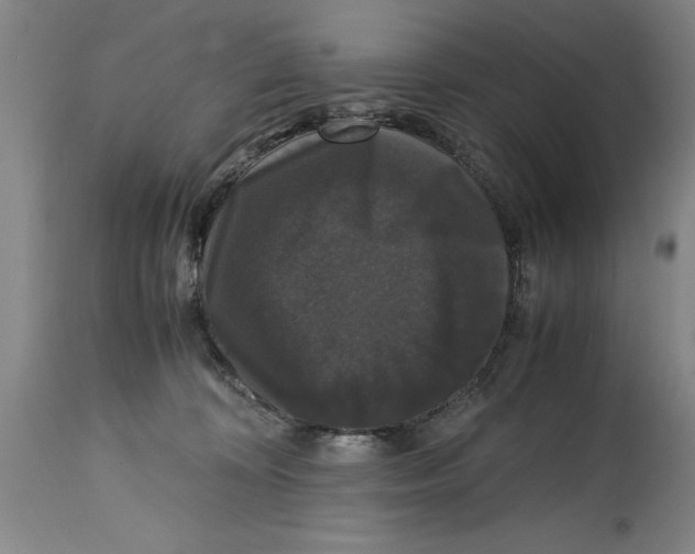 X0000114620324200911171103