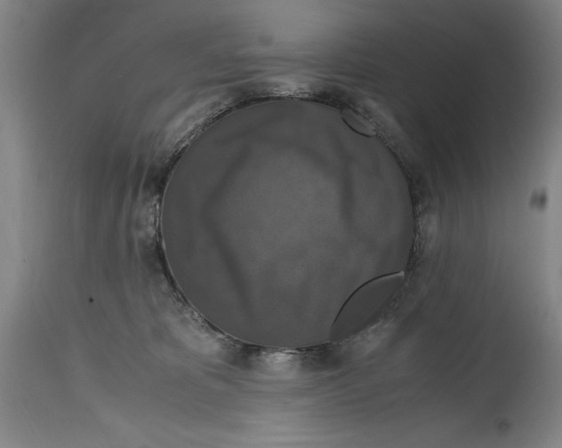 X0000114620325200911171103