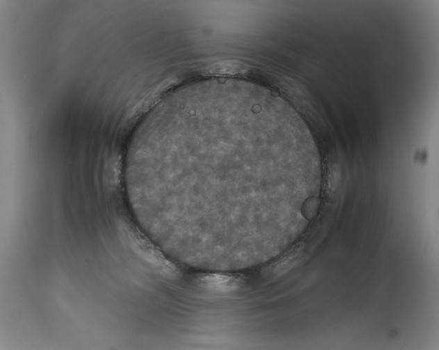 X0000114620326200911171103