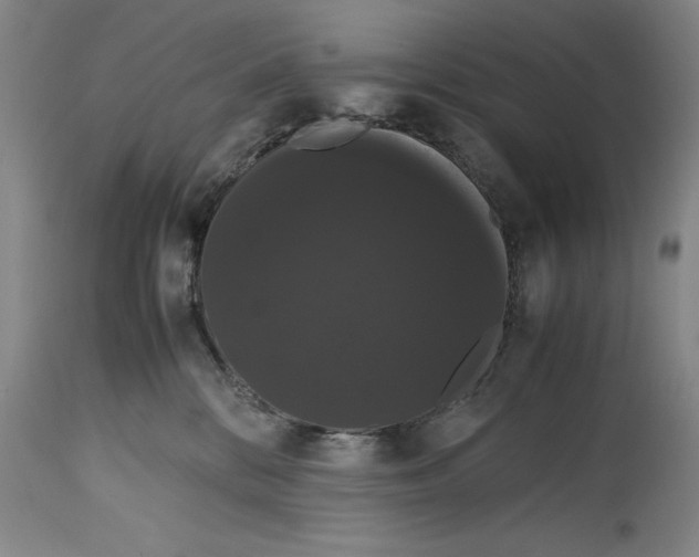 X0000114620328200911171103