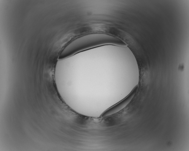 X0000114620329200911171103