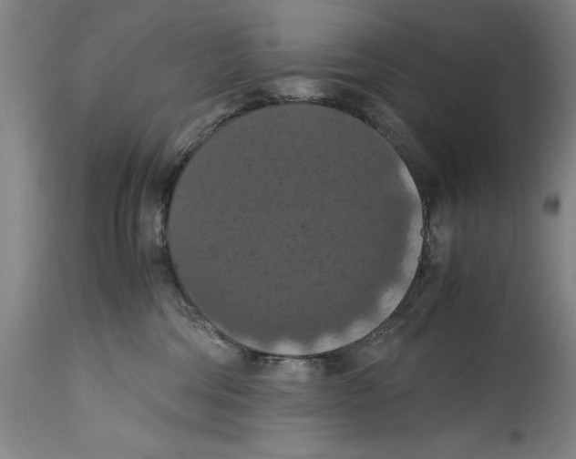 X0000114620330200911171103