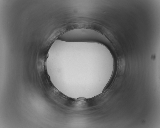 X0000114620333200911171103