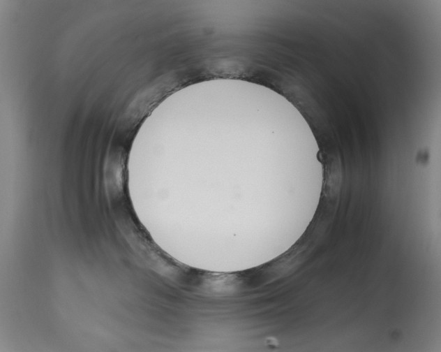 X0000114620334200911171103