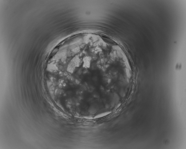 X0000114620337200911171102