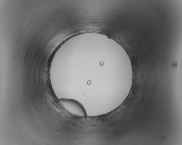 X0000114620338200911171102