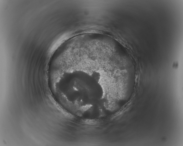 X0000114620341200911171102