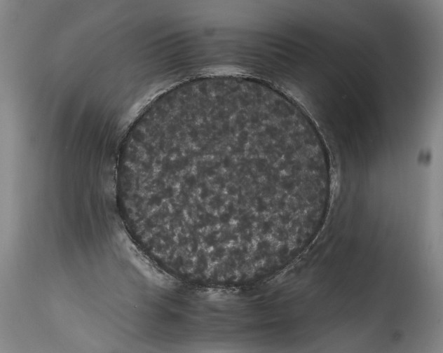 X0000114620345200911171102