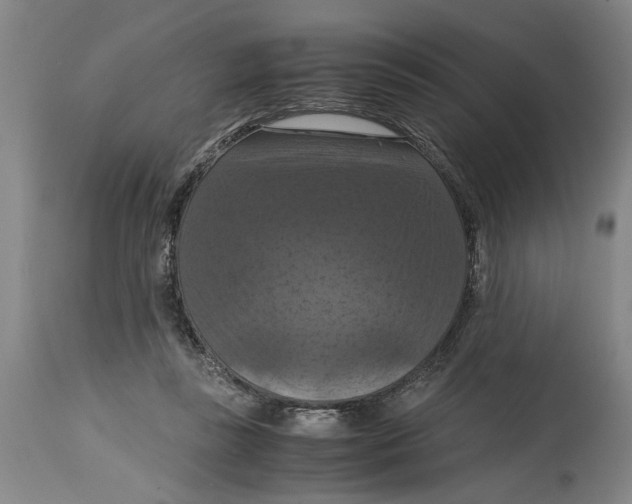 X0000114620355200911171102