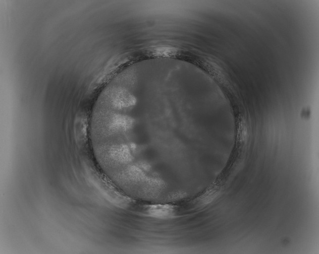 X0000114620363200911171103