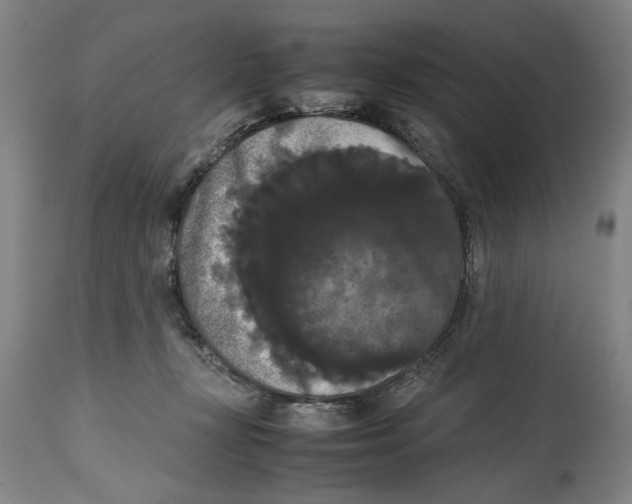 X0000114620367200911171103