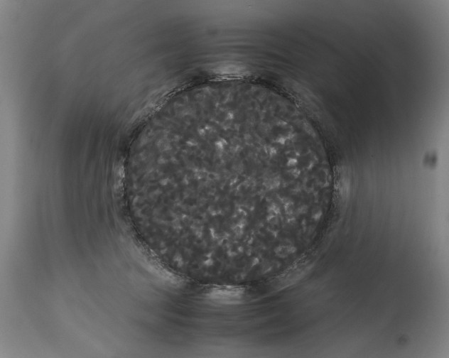 X0000114620369200911171103