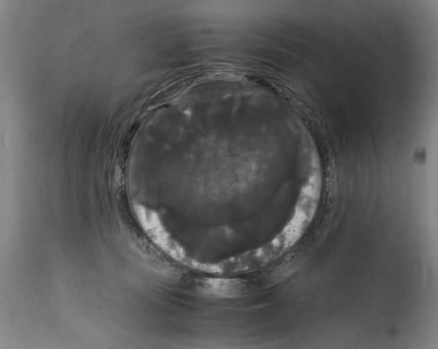 X0000114620371200911171103