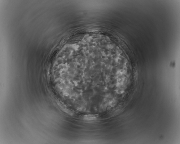 X0000114620373200911171103