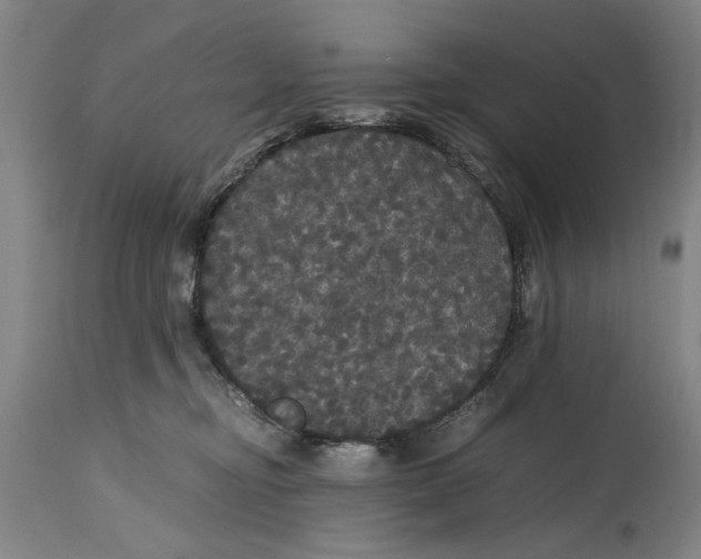 X0000114620374200911171103