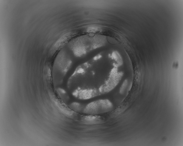 X0000114620375200911171103