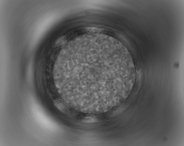 X0000114620381200911171103