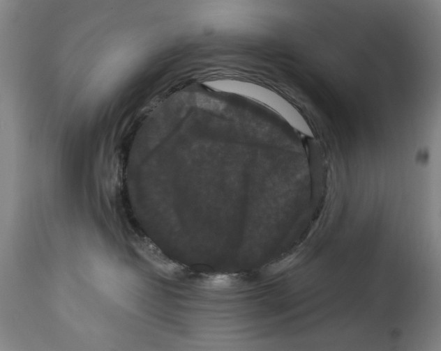 X0000114620382200911171103