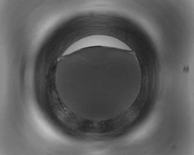 X0000114620383200911171103