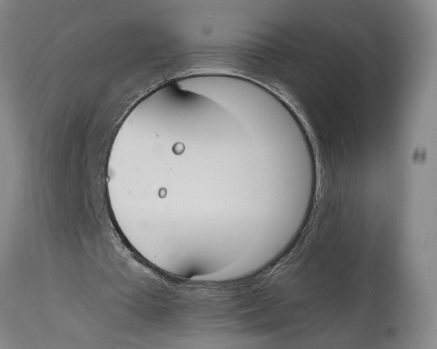 X0000114620385200911171102