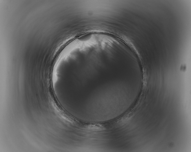 X0000114620386200911171102