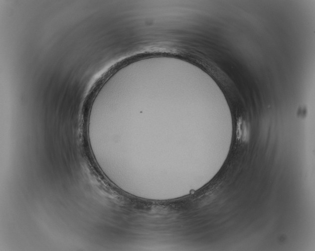 X0000114620388200911171102