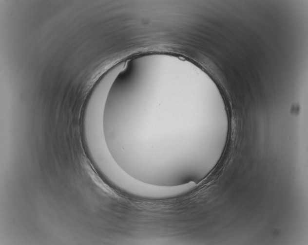 X0000114620389200911171102