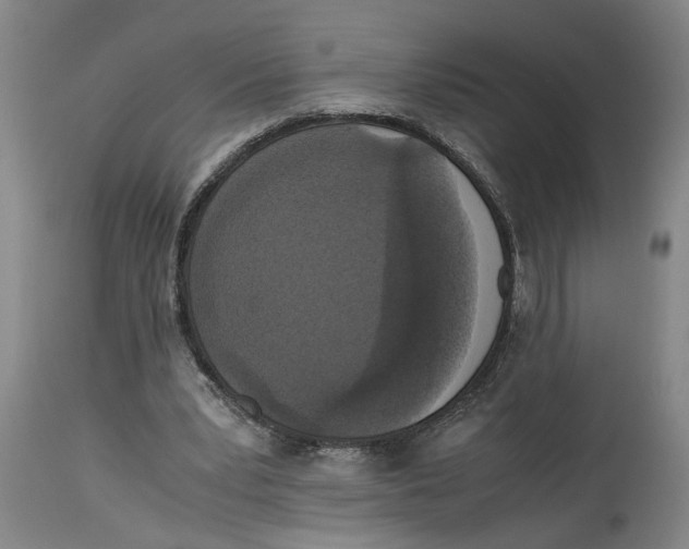 X0000114620391200911171102