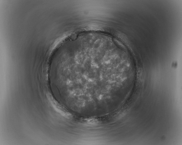 X0000114620395200911171102