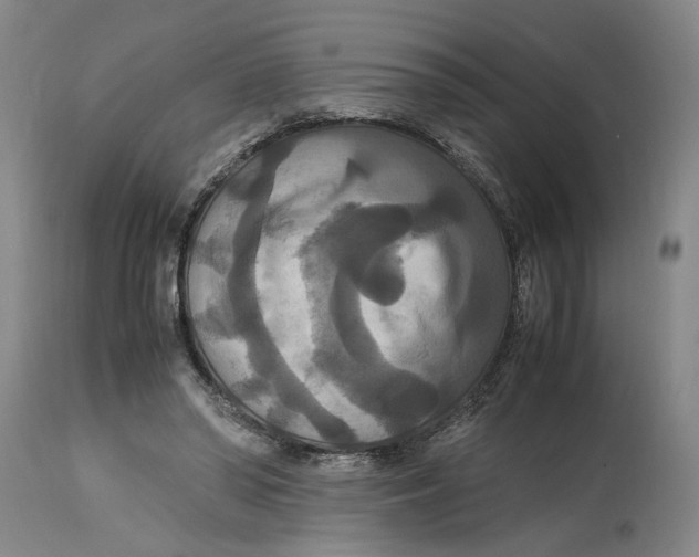 X0000114620398200911171102