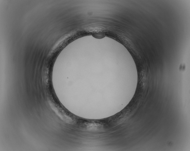 X0000114620400200911171102