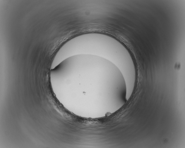 X0000114620401200911171102