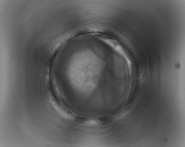 X0000114620402200911171102