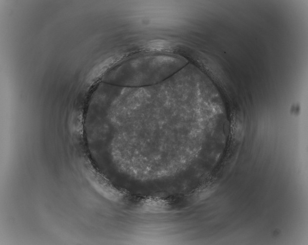 X0000114620403200911171102