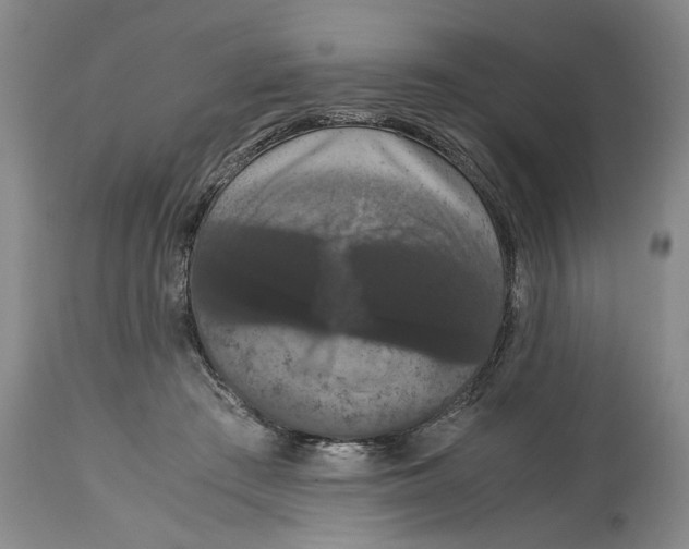 X0000114620409200911171102