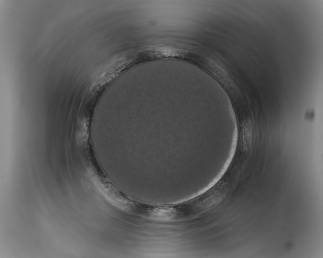 X0000114620410200911171102