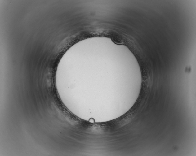 X0000114620416200911171102