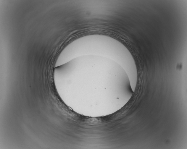 X0000114620421200911171101