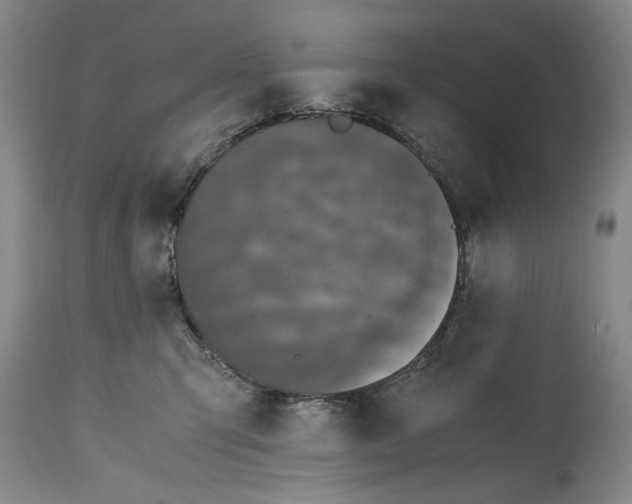 X0000114620423200911171101