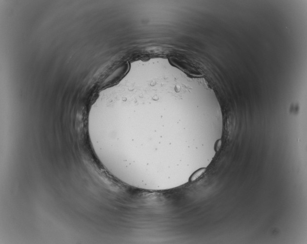 X0000114620424200911171101