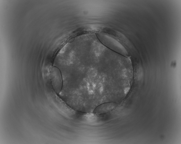 X0000114620425200911171101