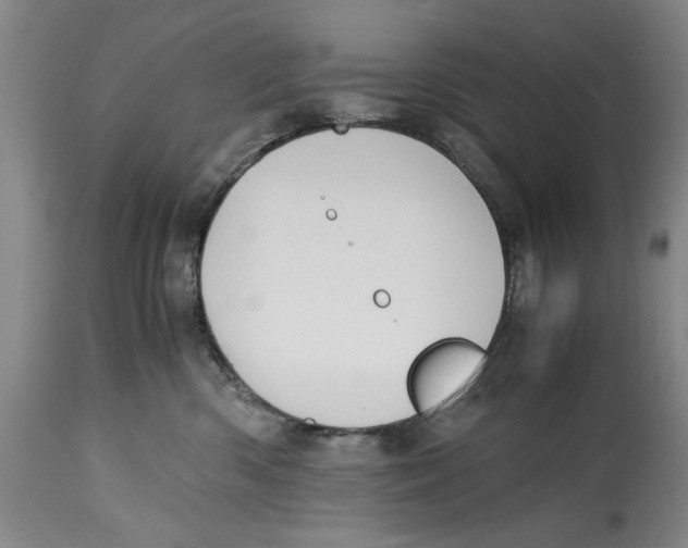 X0000114620426200911171101