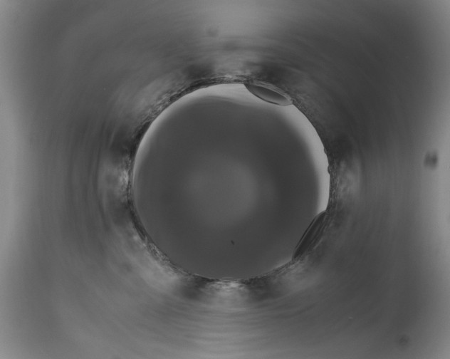 X0000114620427200911171101