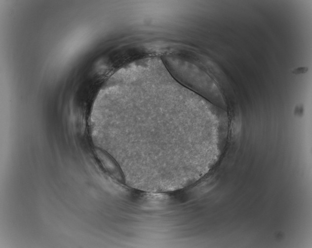 X0000114620429200911171101