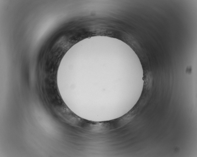 X0000114620430200911171101