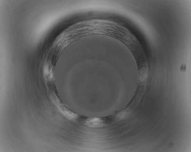 X0000114620431200911171101